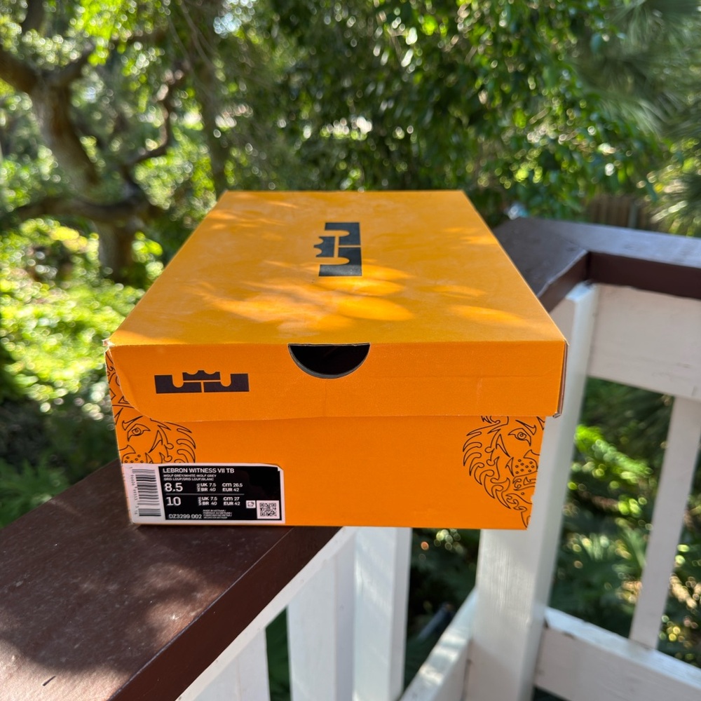 LeBron James Orange Shoe Box